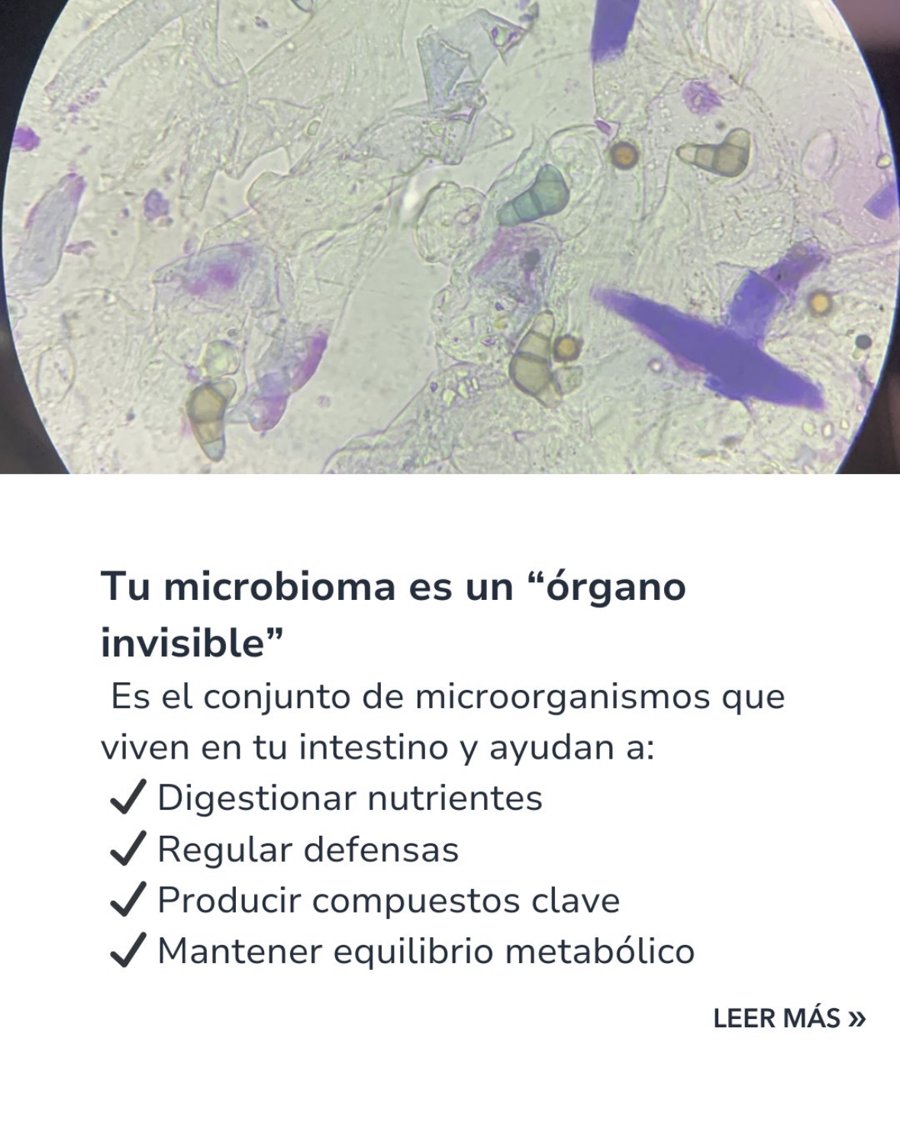 Tu microbioma, un órgano invisible